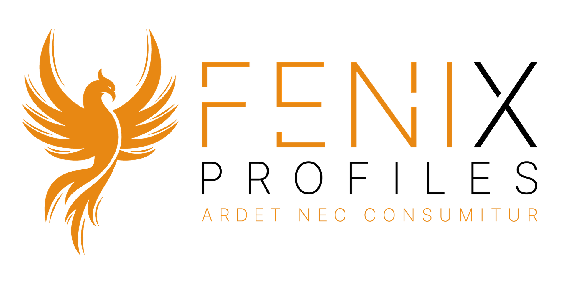 FENIX PROFILES